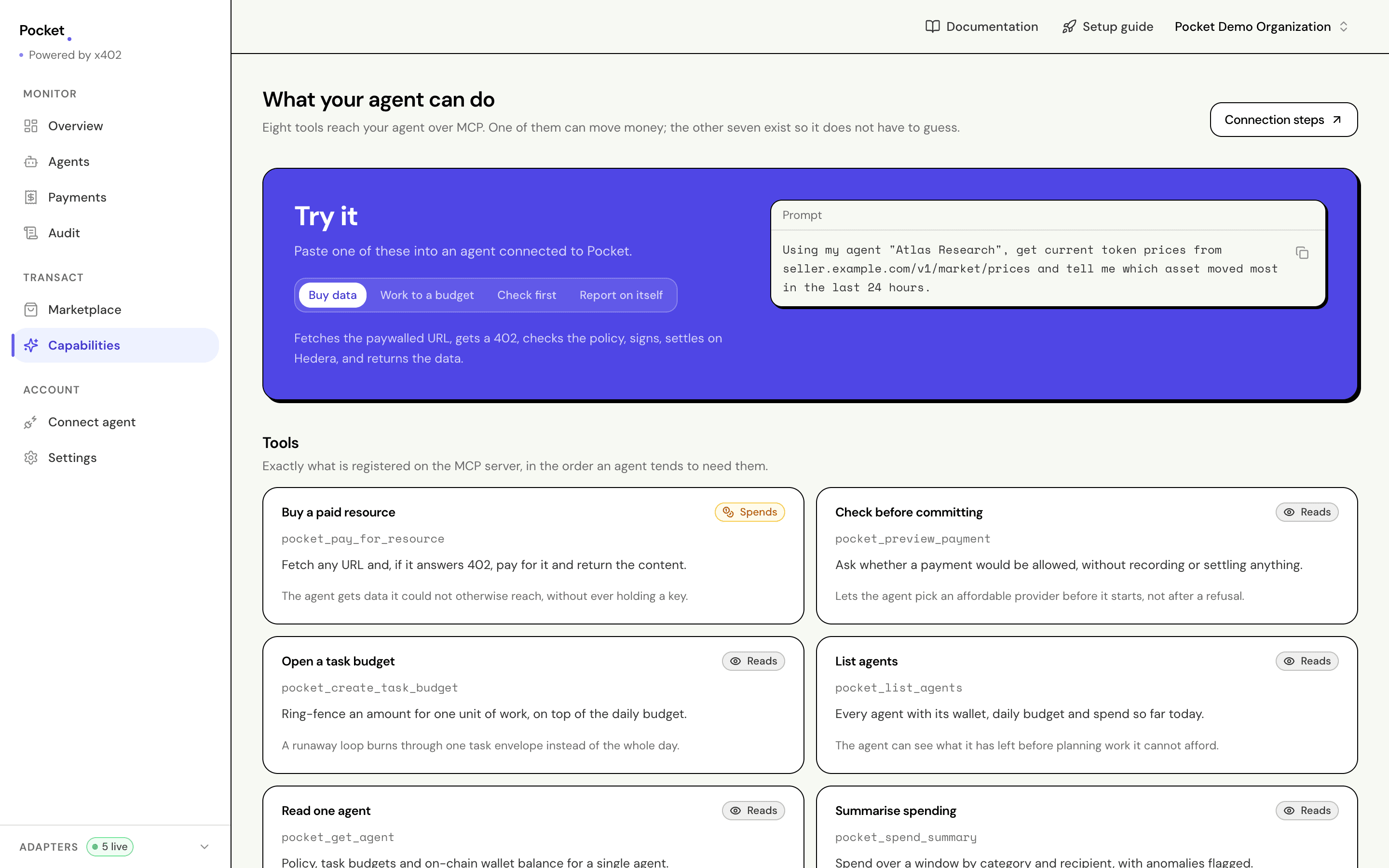The capabilities screen with a Try it panel containing a ready-made prompt, above cards for each of the eight MCP tools.